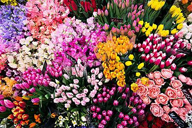 《电车除灵少女》Steam上线 惊悚除灵冒险