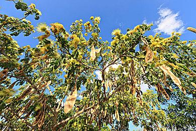 《黑白莫比乌斯：岁月的代价》将推出试玩版 流程4-5小时