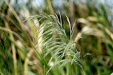 Sensor Tower：2022年12月中国手游发行商收入排行